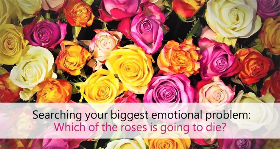 Searching your biggest emotional problem: Which of the roses is going to die?